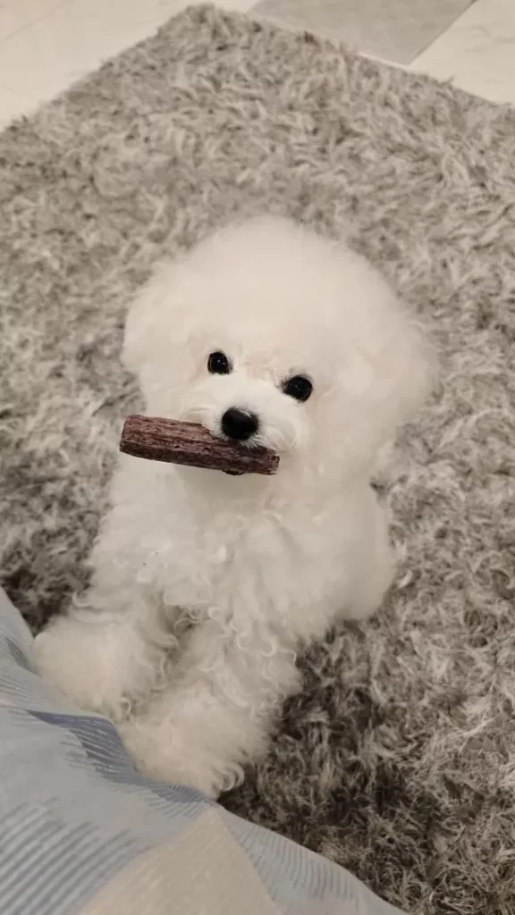 Image #2 from triyanamarselia